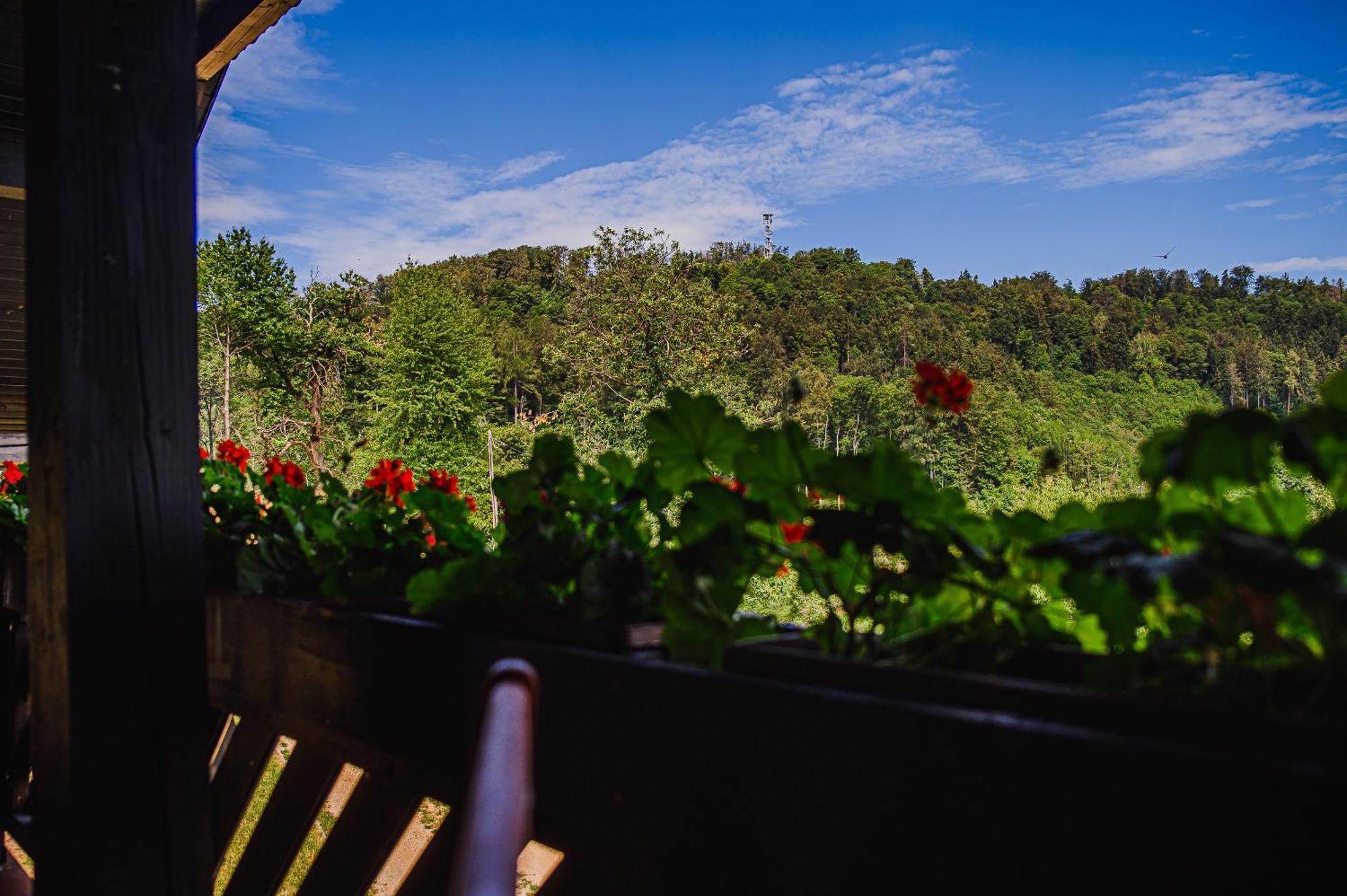 Apartamento Eko Pony Ranch Ogrizek Podčetrtek Habitación foto